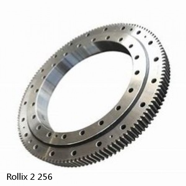 2 256 Rollix Slewing Ring Bearings