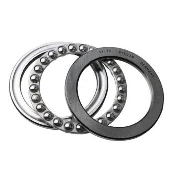 5.512 Inch | 140 Millimeter x 8.268 Inch | 210 Millimeter x 3.74 Inch | 95 Millimeter  INA SL185028-C3  Cylindrical Roller Bearings