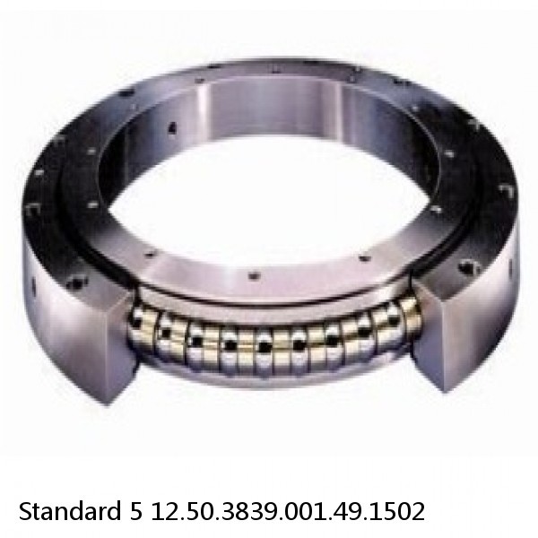 12.50.3839.001.49.1502 Standard 5 Slewing Ring Bearings #1 small image
