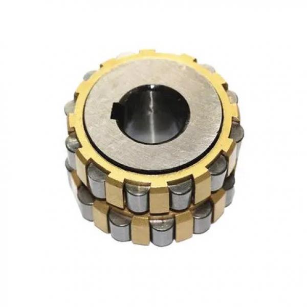 FAG N318-E-M1-C3  Cylindrical Roller Bearings #2 image